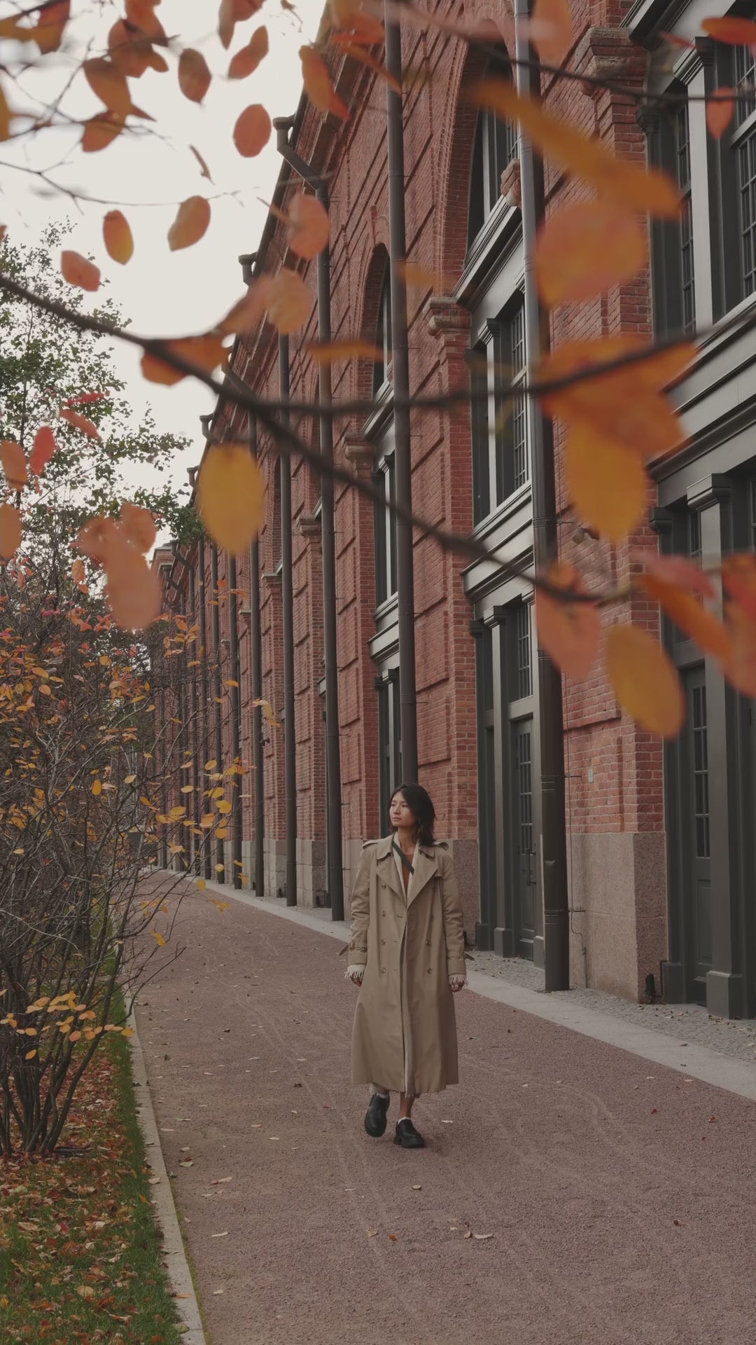 Video preview image